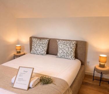 Vierzon Apartment | LE JEAN JAURÈS Arrivée Autonome