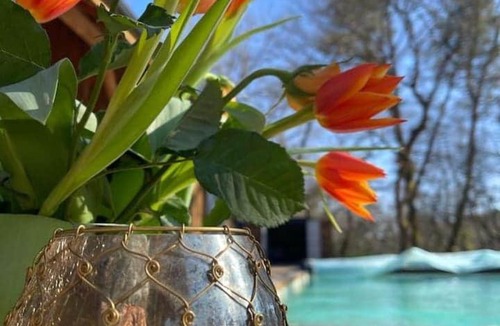 Moustey Villa | Le Moulin d'Hourtoy