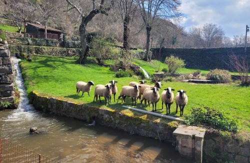 Saint-Arcons-d'Allier Bed & Breakfast | le moulin