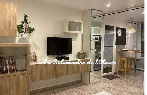 Aubignosc Apartment | Le palmier 4 * Studio Cocooning with exterior and swimming pool. Pets allowed