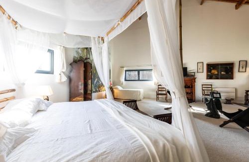 Bazas Bed & Breakfast | Le Palmier Exotique - Bazas