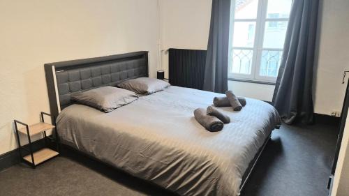 Issoire House | Le Passage - Centre-ville - WiFi