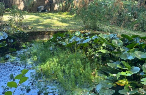 Meursanges Bed & Breakfast | Le Pavillon de l'Orangerie