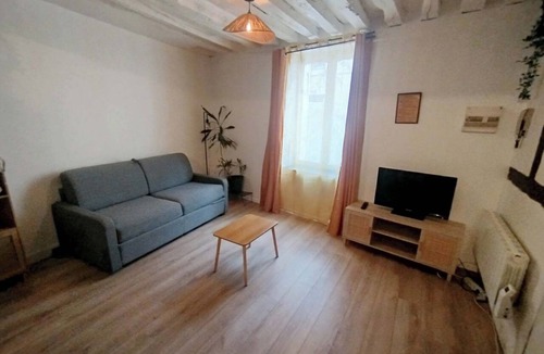 Bourgogne Apartment | Le Petit Cocon in Downtown Orléans
