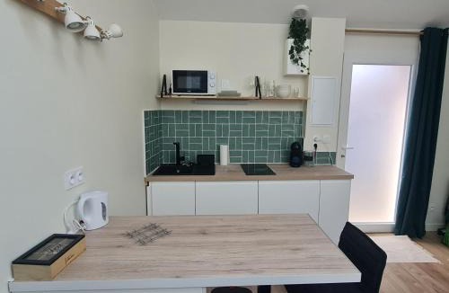 Roche-la-Moliere Apartment | Le Petit Roche