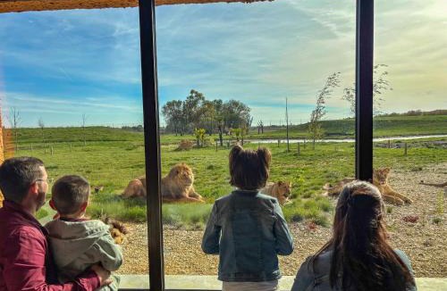 Lumigny-Nesles-Ormeaux Hotel | Le Royaume des Lions