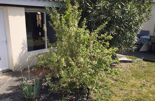 Gradignan Condo | Les Airelles pleasant house between sea and land