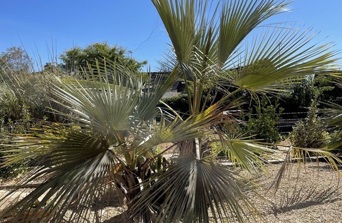 Plouharnel House | Les Brahea - New house in a typical seaside village - Sainte-Barbe