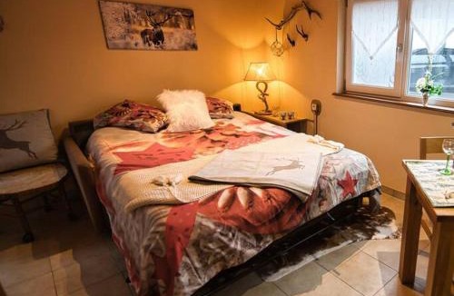 Saasenheim Apartment | Les Chouchous du Ried 3/Proche Europapark