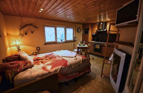 Saasenheim Apartment | Les Chouchous du Ried 3/Proche Europapark