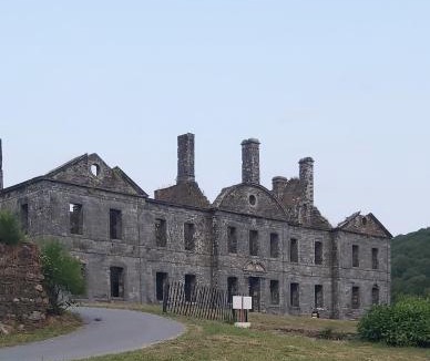 Mur-de-Bretagne House | Les hortensias de Stéfanick