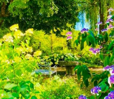 Thonnance-Les-Joinville House | Les jardins extraordinaires