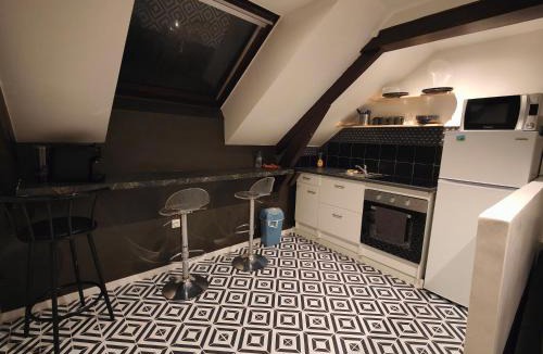 Provins Apartment | Les Lofts De Provins: Apt 8
