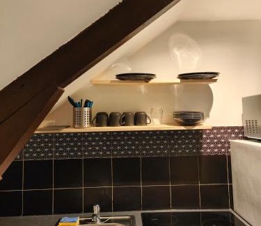 Provins Apartment | Les Lofts De Provins: Apt 8