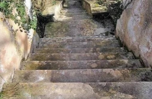Escolives-Sainte-Camille House | Les Oiseaux de Passage – Charming 8-Bedroom House Near Auxerre