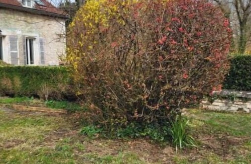 Escolives-Sainte-Camille House | Les Oiseaux de Passage – Charming 8-Bedroom House Near Auxerre