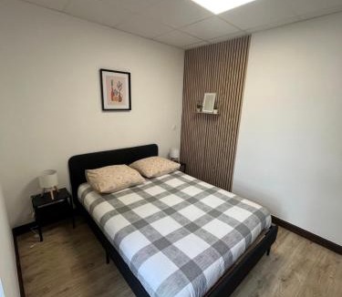 Diou Apartment | Les Pichies, T3 Antonio, proche Le Pal