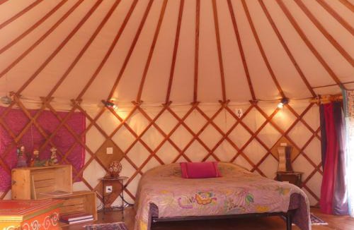 Plouguiel Bed & Breakfast | Les Yourtes d'Hôtes