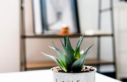 Serris Apartment | LMK