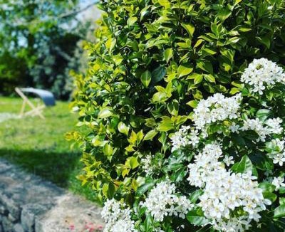 Ploemel House | Location de charme, cosy La Maison de Keraudran