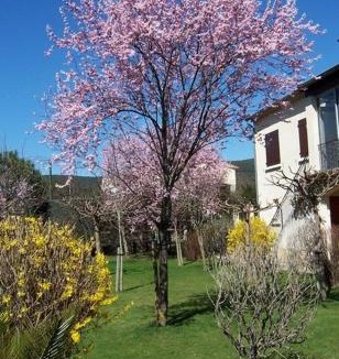Laroque Apartment | Location Laroque Cévennes