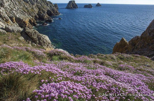 Locronan House | LOCRONAN. Rest between sea and land,; calm, 5mn from the beach.jardin.