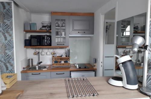 Montargis Apartment | Loft Haut de Gamme Centre Montargis, Place de Parking, Local à vélos, Linge de lits et serviettes, coin rivière amenagé, Hamac, Épicerie, Vélos en option, Tout confort jusqu'à 4 voyageurs