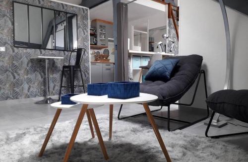 Montargis Apartment | Loft Haut de Gamme Centre Montargis, Place de Parking, Local à vélos, Linge de lits et serviettes, coin rivière amenagé, Hamac, Épicerie, Vélos en option, Tout confort jusqu'à 4 voyageurs