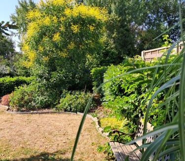 Rouillon Bed & Breakfast | Loge'Mans