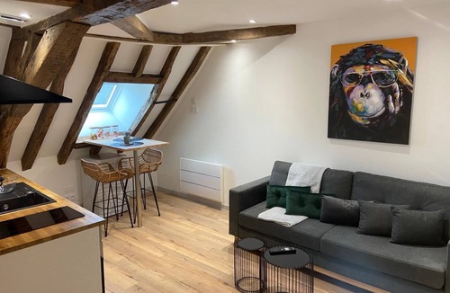 Bourges Apartment | Love Room downtown with Jacuzzi