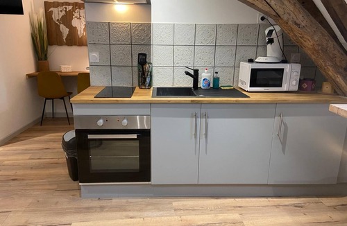 Bourges Apartment | Love Room downtown with Jacuzzi