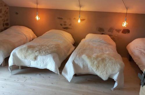 Saint-Forgeux-Lespinasse House | Maison Authentique avec Spa et Animaux Acceptés - FR-1-496-7