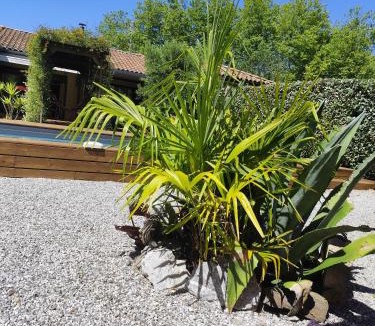 Saint-Jean-de-Marsacq Bed & Breakfast | Maison Balaguera