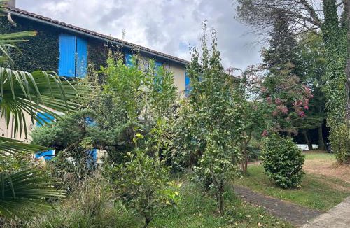 Salies-de-Bearn Apartment | Maison Colibri