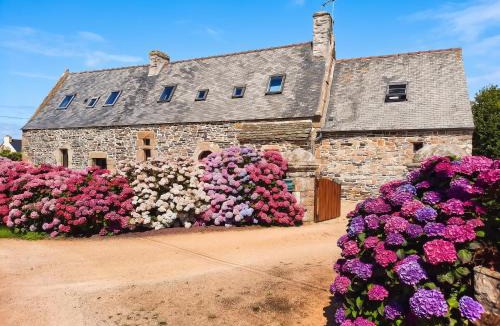 Tredrez-Locquemeau House | Maison conviviale avec jardin près de Trédrez-Locquémeau
