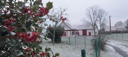 Saligny-sur-Roudon House | Maison cosy au calme à 15 min du Pal - l'Ecole Buissonnière