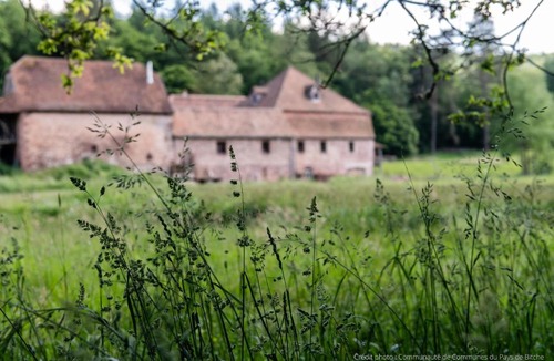 Soucht House | Maison d'hôtes La Paulusmühle Ancien moulin en pleine nature