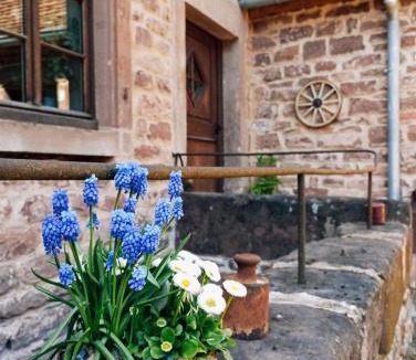 Soucht House | Maison d'hôtes La Paulusmühle Ancien moulin en pleine nature
