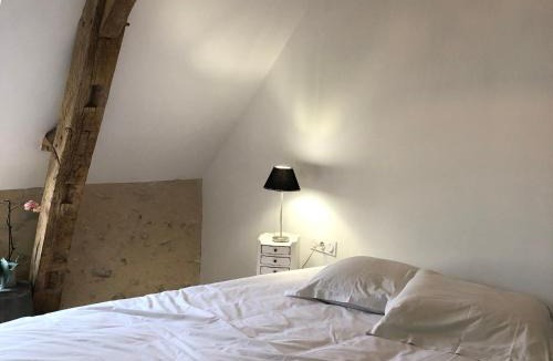 Bazouges-sur-le-Loir Bed & Breakfast | Maison d'hôtes près de La Flèche avec animaux acceptés - FR-1-410-474