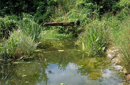 Plougonver House | Maison Dans une Ancienne Ferme sur 3,5ha