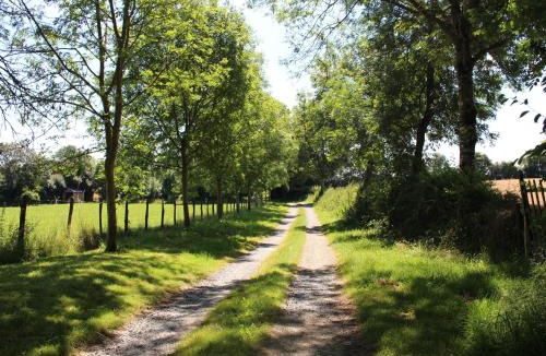 Berfay House | Maison de campagne avec grand jardin, cheminée, vélos et wifi à Berfay - FR-1-410-242