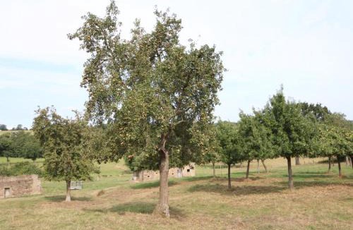 Tinchebray-Bocage House | Maison de charme, animaux admis - jusqu'à 6 pers. - FR-1-497-141