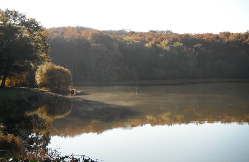 Saint-Bonnet-Troncais Apartment | Maison de L`ETANG in the heart of large oak Forest of Troncais. Allier.
