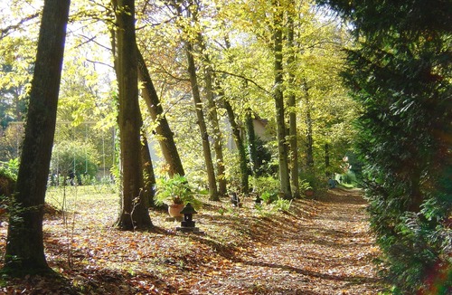 Bois-le-Roi House | Maison de la Mare (7 rooms) along La Seine and in a wooded property.