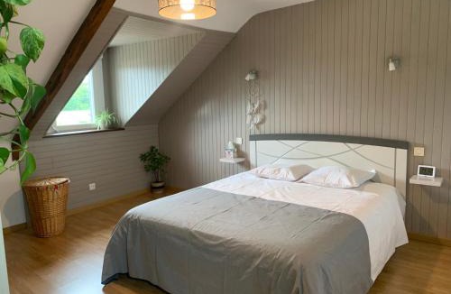 Noyal-Muzillac House | Maison familiale avec grand jardin 5mn de Branféré