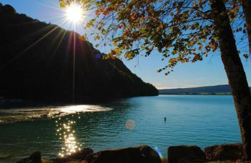Marigny House | Maison/Gîte familial dans le Jura à 200m du lac avec piscine privée