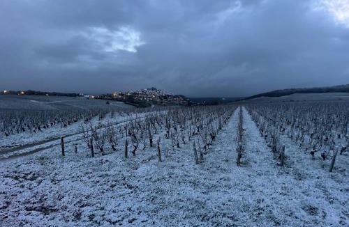 Sancerre House | Maison Palomase en plein cœur de Sancerre