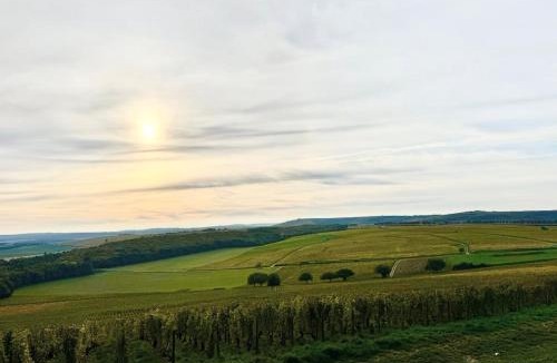 Sancerre House | Maison Palomase en plein cœur de Sancerre
