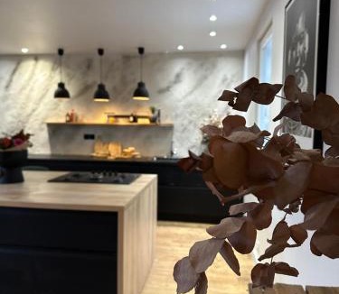 Fretin House | Maison Patcha