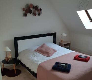 Saint-Cyran-du-Jambot House | maison village 3 chambres 30 minutes du zoo de beauval